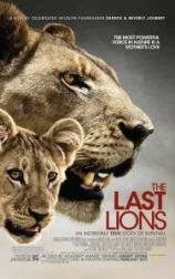 Последние львы